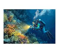 Didooou Undersea fish tank background aquarium background diver fish tank sticker (50 * 100cm /19.7 * 39.4in, undersea diver)