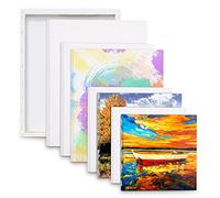 DIDUDE 8-Piece Canvas Set: Assorted Size Art Canvas Frame Stretcher Frame for Acrylic, Oil, Water Painting Board