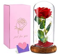 DIDUDE Rose in Glass, Eternal Rose in Glass with LED Light, Beauty and the Beast Rose, Valentine's Day Birthday for Her, Anniversary, Wedding Day, Christmas Day, Women's Day