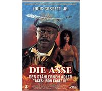 Die Asse der stählernen Adler