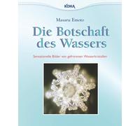 Die Botschaft des Wassers: Sensationelle Bilder von gefrorenen Wasserkristallen