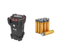 Die drei The Three ??? Digital Money Box, 8+ years, & Amazon Basics AAA Alkaline 12 pack, 10yr shelf