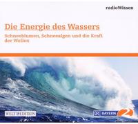 Die Energie des Wassers - Schneeblumen, Schneealgen und die Kraft der Wellen