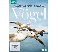 Die fantastische Reise der Vögel: BBC Earth
