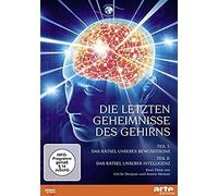 Die letzten Geheimnisse des Gehirns