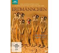 Die lustigsten und aufregendsten Abenteuer der Erdmännchen