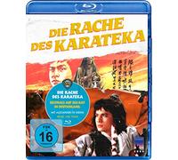 Die Rache Des Karateka