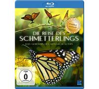 Die Reise des Schmetterlings - Das Geheimnis des Monarchfalters [Blu-ray]