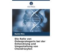 Die Rolle von Osteoprotegerin bei der Entwicklung und Umgestaltung von Chondrozyten