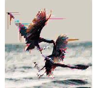 Sauna,die - So Schön Wie Jetzt War Es Noch Nie