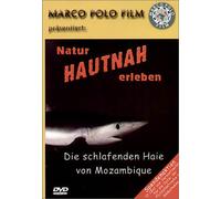 Die schlafenden Haie von Mozambique