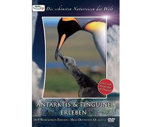 Die schönsten Naturreisen der Welt: Antarktis & Pinguine erleben