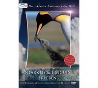 Die schönsten Naturreisen der Welt: Antarktis & Pinguine erleben [DVD]