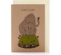 Die Stadtgärtner Greeting Card with Seed Plug "Dickes Danke" - 1 item