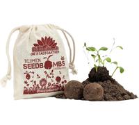 Die Stadtgärtner Seed Bombs "A Feast for Bees" - 8 items