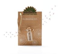 Die Stadtgärtner Small wish filler, real dandelion umbrellas in a glass, durable, idea for any occasion, gift for birthdays, weddings, Mother's Day, Easter, etc.