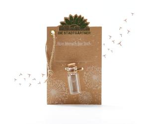 Die Stadtgärtner Small wish filler, real dandelion umbrellas in a glass, durable, idea for any occasion, gift for birthdays, weddings, Mother's Day, Easter, etc.