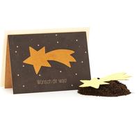 Die Stadtgärtner "Wünsch dir was Sternschnuppe" Floral Greeting Card - 1 item