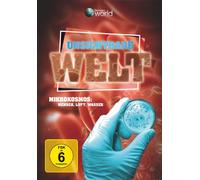 Die unsichtbare Welt (DVD)