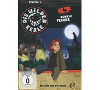 Die wilden Kerle 04. Dunkle Feinde
