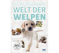 DIE WUNDERBARE WELT DER WELPEN - GRAINGER,GREG +++ DVD NEW