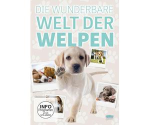 DIE WUNDERBARE WELT DER WELPEN - GRAINGER,GREG DVD NEW