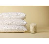 Die Zudecke Canadian Goose Down Kingsize Pillow