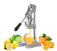 Diegimr Stainless Steel Manual Juicer, Hand Press Orange Juicer Squeezer for Citrus Pomegranate Lemon Countertop Fruit Juice Press with 100pcs Filter Bags for Kitchen & Bar