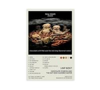 Diempi LIMP BIZKIT Chocolate Starfish And The Hot Dog Flavored Water Music Album Cover Posters Canvas Poster Bedroom Decor Landscape Office Room Decor Gift 16x24inch(40x60cm)