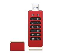 DIERI Encrypted USB Drive Secure USB Flash Drive 32GB / 64GB / 128GB / 256GB AES256-bit USB 3.0 Hardware Password Memory Stick Automatic Lock for Protection Aluminum Alloy Shell with Encryption