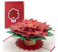 Diese Klappkarten Christmas Poinsettia