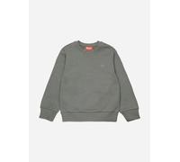 Diesel Boys Oval D Logo Sweatshirt in Grey - Grey - 16 Yrs