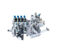 Diesel Fuel Injection Pump 4PL242A BHF4PL090 F3100-1111100B-172