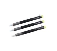 Diesel Fuel Injector EJBR03701D EJBR05301D EJBR02901D EJBR 03301D EJBR04701 Delphi Fuel Injector Engine Automotive Parts(EJBR05301D)