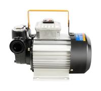 Diesel Transfer Pump - High-Performance 220V Electric Fuel Pump, 60L/Min Oil Suction Extractor with Copper Motor for Efficient Diesel Fluid Transfer