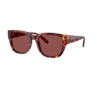 Diesel Unisex Sunglass DL2005 - Frame color: Havana Brown, Lens color: Dark Violet/Red