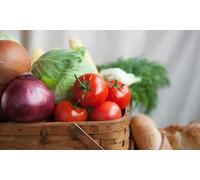 Diet and Weight Management Coaching