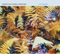 Dieter Ilg - Eisenhans