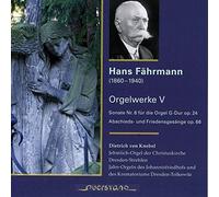 Dietrich von Knebel - Fahrmann: Orgelwerke V