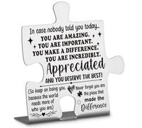 Difference Maker Team Appreciation Thank You Gifts for Employees, Coworkers, Nurse, Doctor, Boss, Leader, Assistant, Leaving, Going Away, Promotion Gifts Decorative Signs & Plaques Ann4
