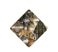 Different Colored Wolves Printing 10 Pcs Car Air Freshener Hanging Sheets Scented Hanging Sheets With Rope For Home