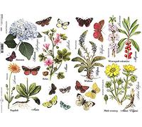 Different Flowers + Butterflies Rice Paper ITD D0431M - 1 x A4 Sheet of Classic decoupage Rice Paper
