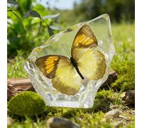 Different Insect Specimen for Scientific - 7.7 * 2.8 * 7.8cm Insect Amber Fossils Bug Preserved in Resin Real Bug Preserved Educational Office Desk Display(G)