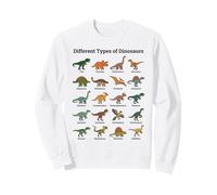 Different Types Of Dinosaurs Educational Dino Sweatshirt