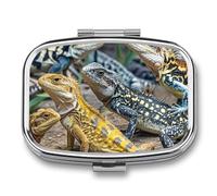 Different Types of Lizard Pill Case Travel Portable Pocket Pill Box 2 Compartment Medicine Case Large Capacity Daily Pill Cases Vitamin Organizer Medicine Organizer Small Pill Box