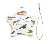 Different Types of Lizard Printed Ceramic Christmas Tree Ornament â€“ Star Shaped Holiday Decoration, Xmas Hanging Keepsake