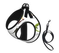 Different Types Of Lizard Printing Dog Summer Harness With Leash Set,Adjustable And Reflective Step-In Puppy Pet Vest Harnesses