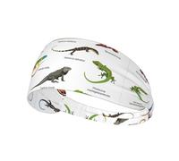 Different Types Of Lizard Printing Double-Sided,Unisex Elastic Sports Headband,Ideal As A Gift For Sports-Loving Friends,Family