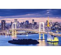 Difficult Jigsaw Puzzles For Adults 1000 Pieces Tokyo Under Night Sky Cityscape Bridge Tower.Png 75 * 50Cm