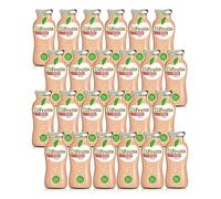 DiFrutta Peach Fruit Juice, 24 Bottles of 20 cl